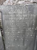 image of grave number 296538